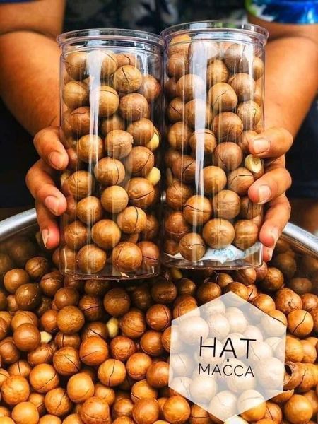 Macca Đắk Lắk Giá Sỉ | Nguồn Hàng Macca Chất Lượng Cao – Nhận Gia Công OEM