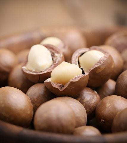 Gia công macca là gì? Quy trình gia công macca tại Đắk Lắk