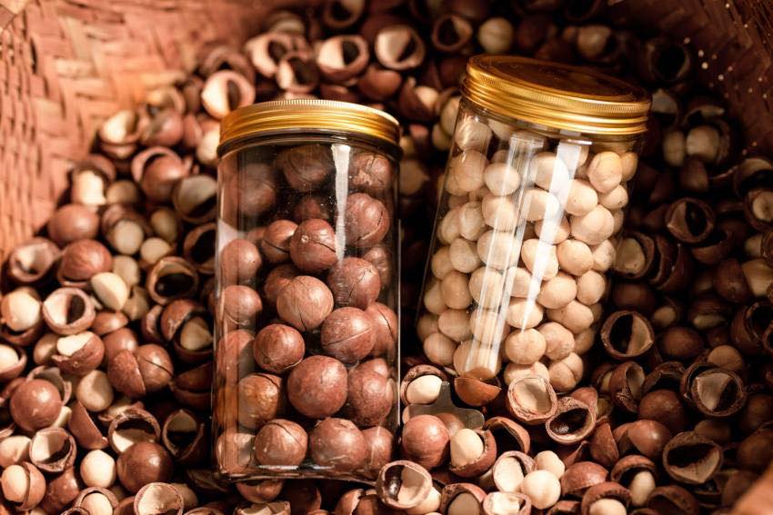 Dịch Vụ X-Ray Soi Macca Chuyên Nghiệp Cho Doanh Nghiệp | Kamina