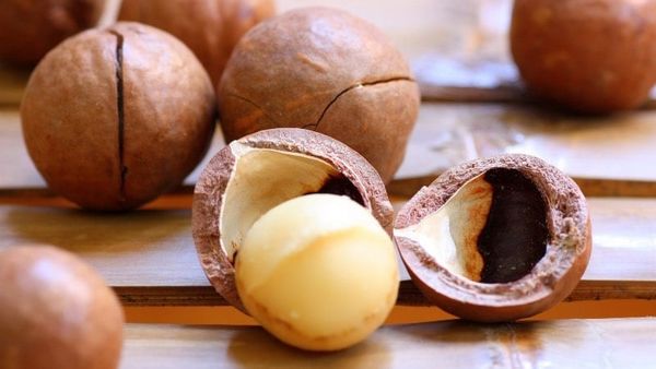 KAMINA TUYỂN ĐẠI LÝ PHÂN PHỐI – GIAI ĐOẠN CUỐI NĂM