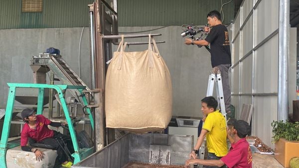 Gia Công Macca Thương Hiệu Riêng – Xu Hướng Kinh Doanh Tiềm Năng