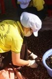 MÙA THU MUA MẮC CA ĐÃ BẮT ĐẦU – KAMINA SẴN SÀNG ĐỒNG HÀNH CÙNG BÀ CON