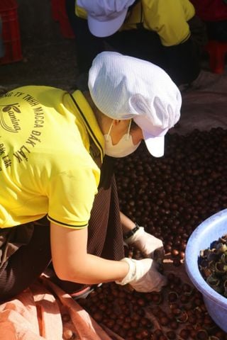 MÙA THU MUA MẮC CA ĐÃ BẮT ĐẦU – KAMINA SẴN SÀNG ĐỒNG HÀNH CÙNG BÀ CON