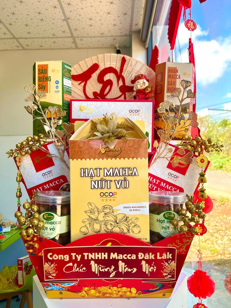 CƠ HỘI HỢP TÁC ĐẠI LÝ HẠT MACCA – PHÁT TRIỂN KINH DOANH BỀN VỮNG