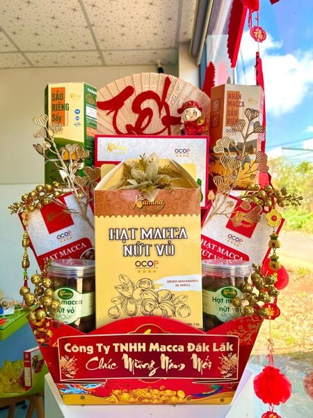 CƠ HỘI HỢP TÁC ĐẠI LÝ HẠT MACCA – PHÁT TRIỂN KINH DOANH BỀN VỮNG