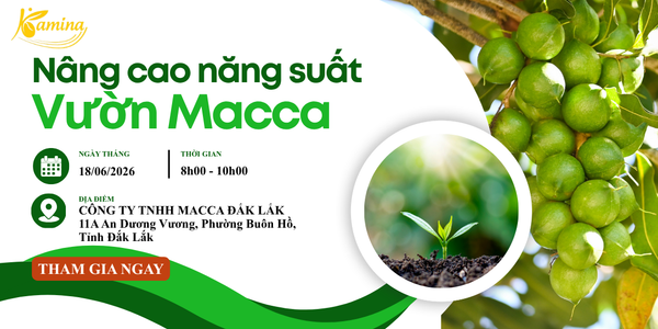 BÍ MẬT ĐẰNG SAU NHỮNG VƯỜN MẮC CA SAI TRĨU QUẢ SẼ ĐƯỢC BẬT MÍ!