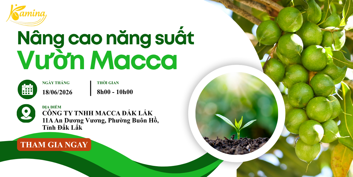 GIẢI PHÁP NÂNG CAO NĂNG SUẤT VÀ CHẤT LƯỢNG VƯỜN MẮC CA