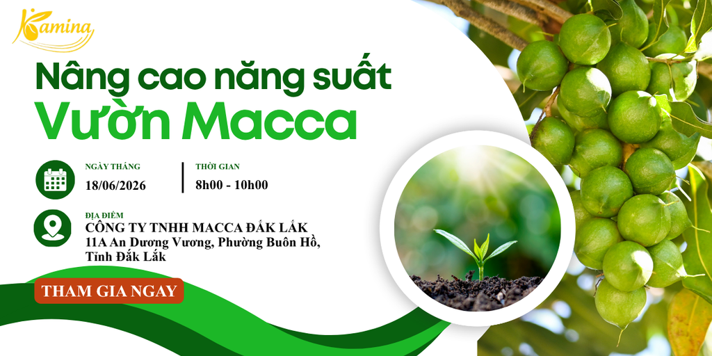 GIẢI PHÁP NÂNG CAO NĂNG SUẤT VÀ CHẤT LƯỢNG VƯỜN MẮC CA