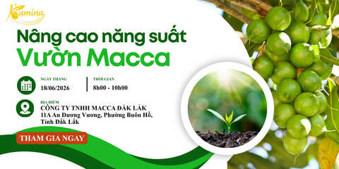 GIẢI PHÁP NÂNG CAO NĂNG SUẤT VÀ CHẤT LƯỢNG VƯỜN MẮC CA