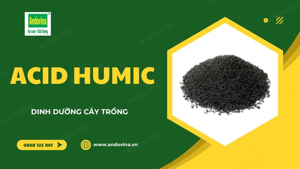 Acid humic - Dinh dưỡng cây trồng