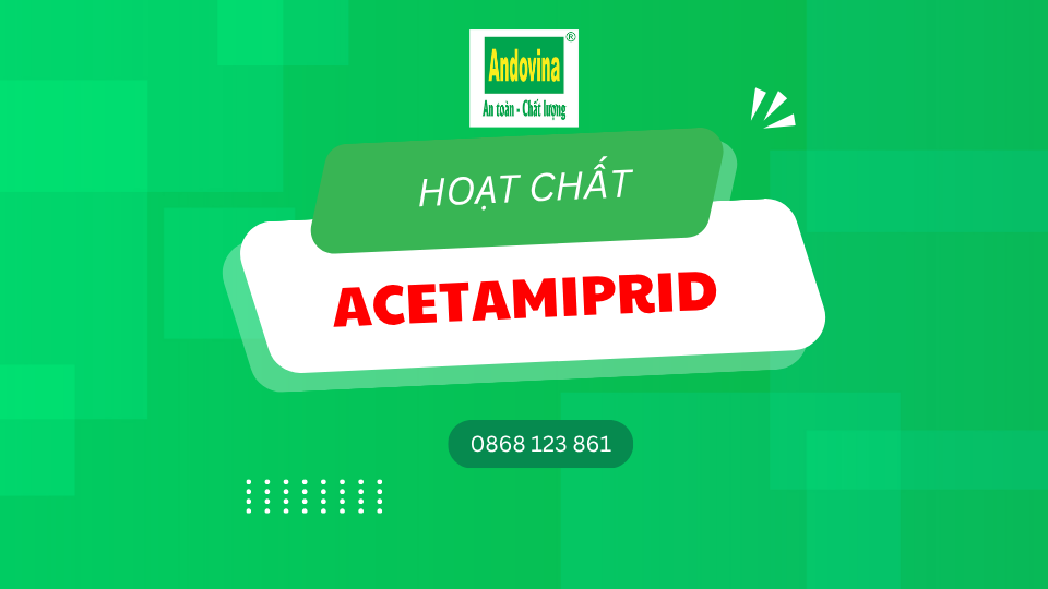 Hoạt chất Acetamiprid