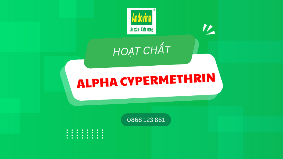 Hoạt chất Alpha Cypermethrin