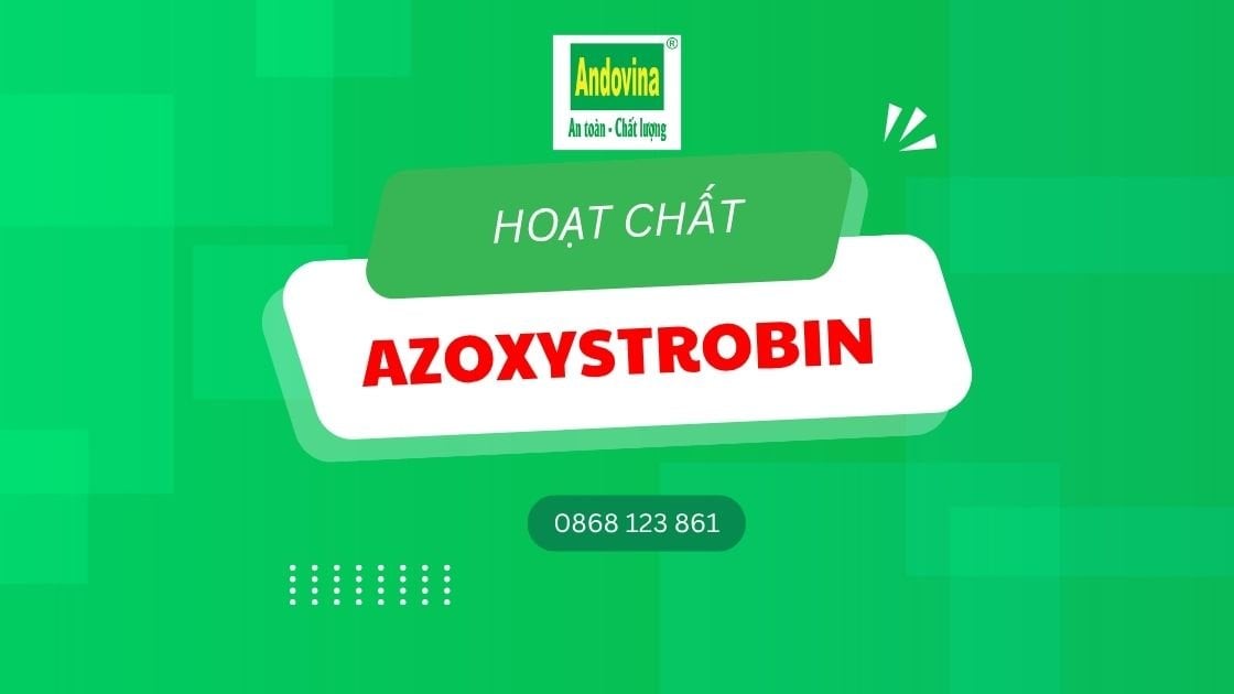 Hoạt chất Azoxytrobin