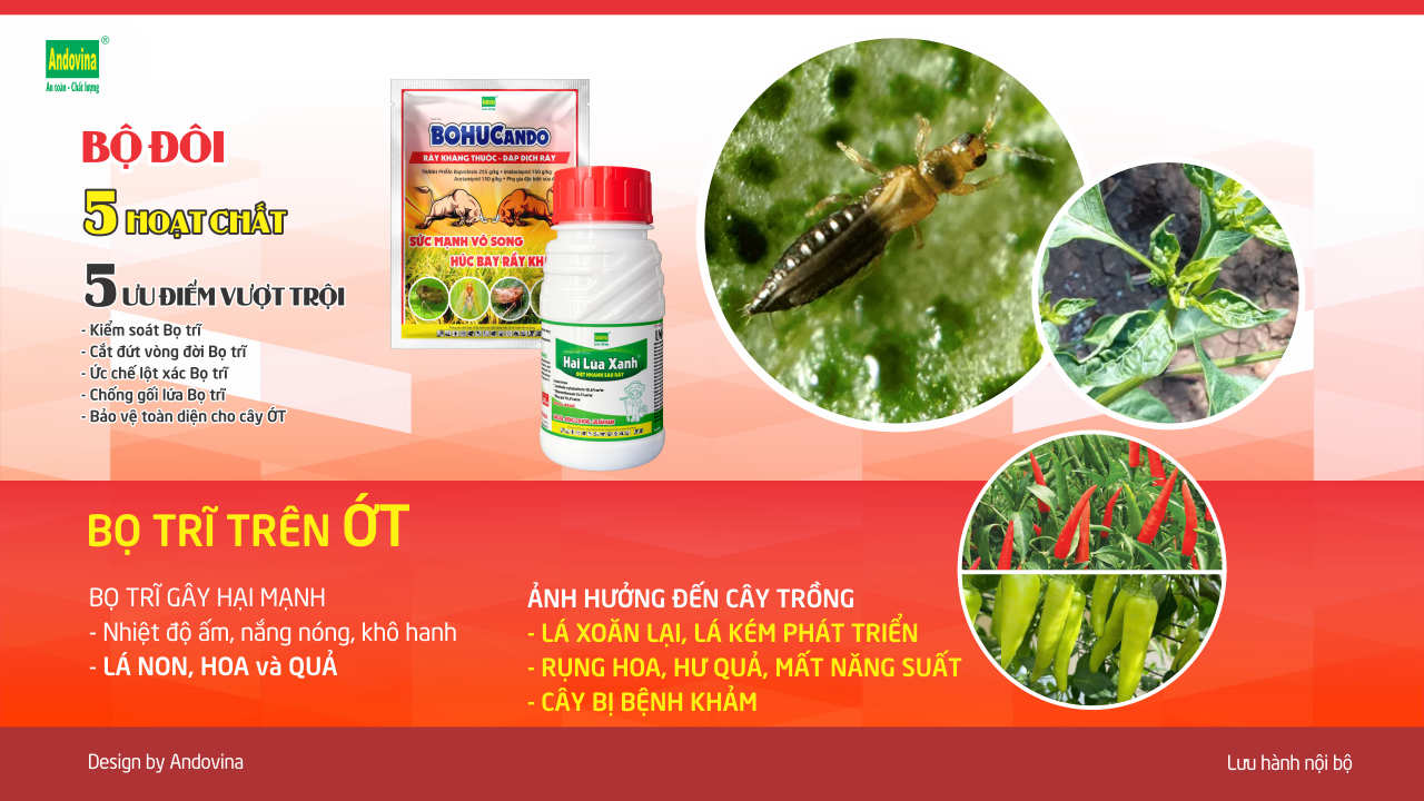 BỌ TRĨ trên ỚT