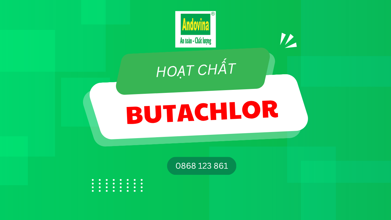 Hoạt chất Butachlor