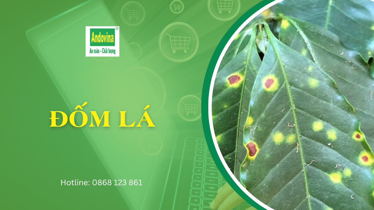 ĐỐM LÁ