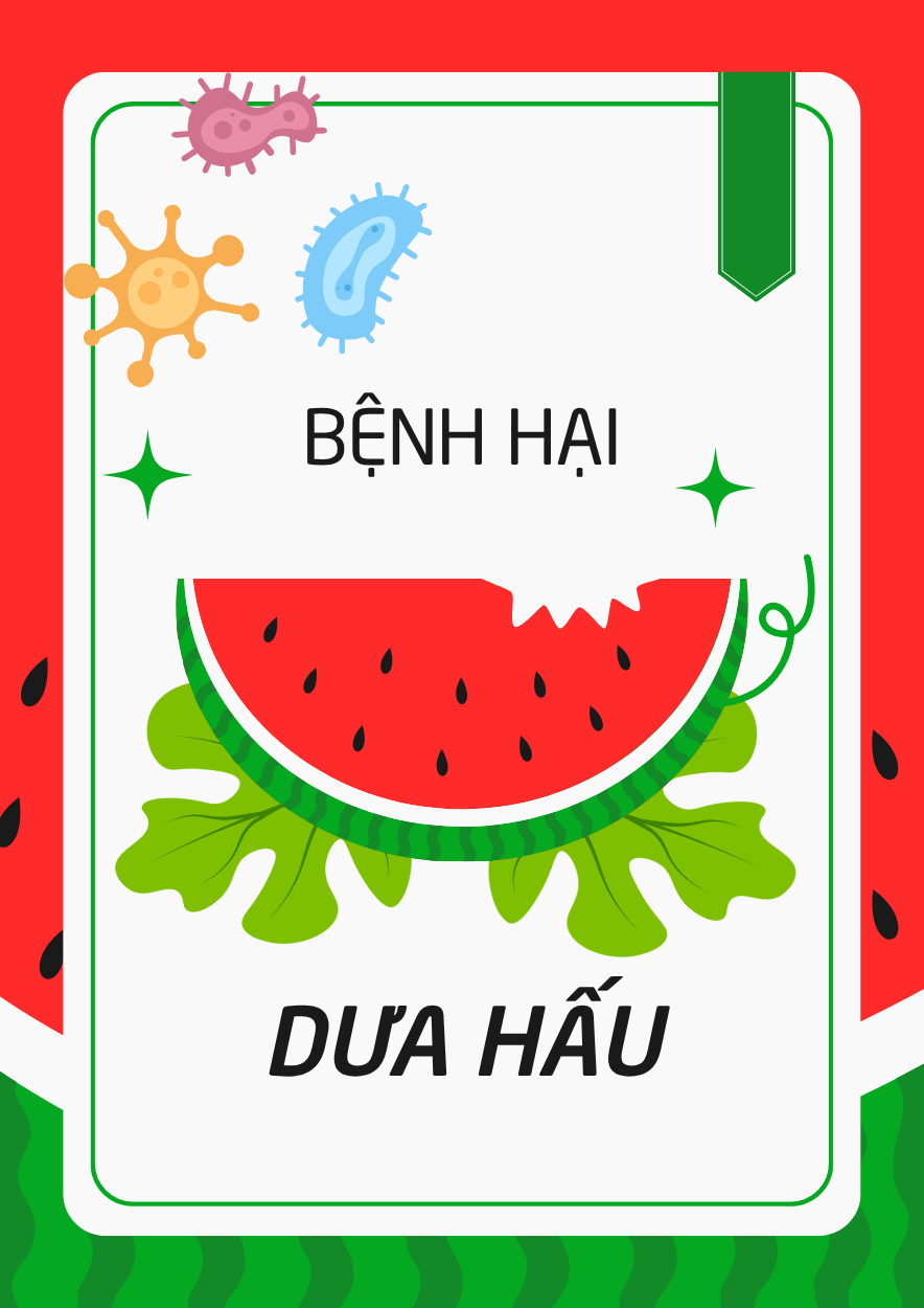 Bệnh hại trên DƯA HẤU