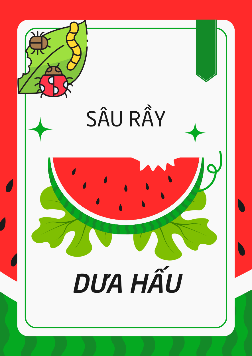 Sâu rầy trên DƯA HẤU