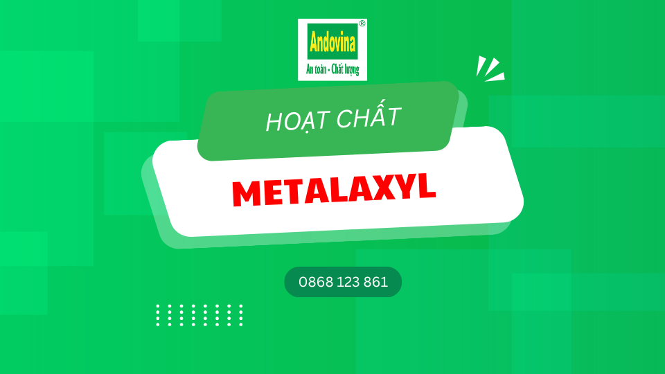 Hoạt chất Metalaxyl