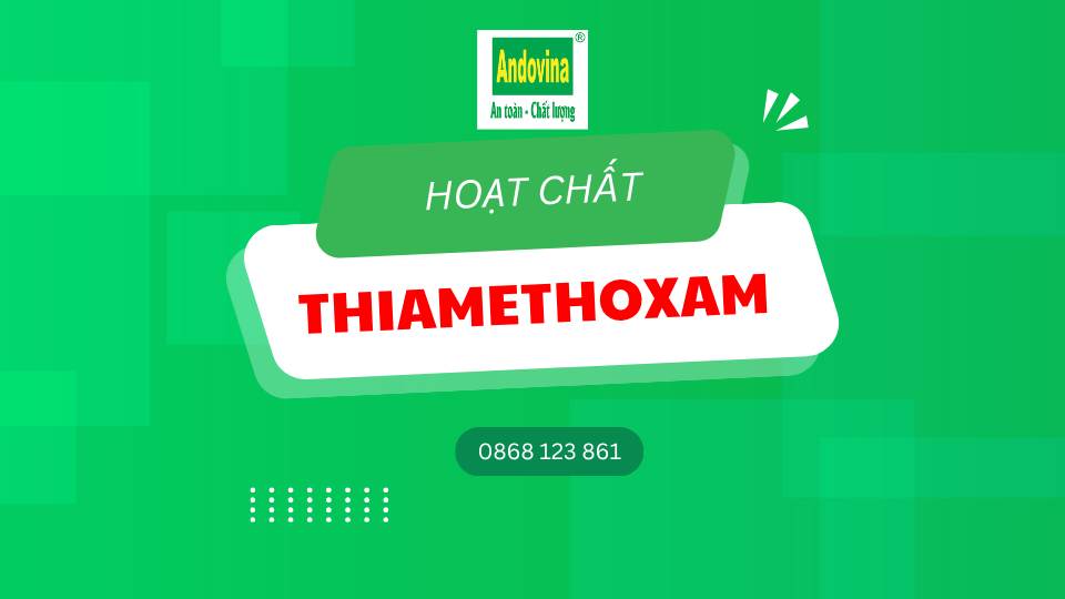 Hoạt chất Thiamethoxam