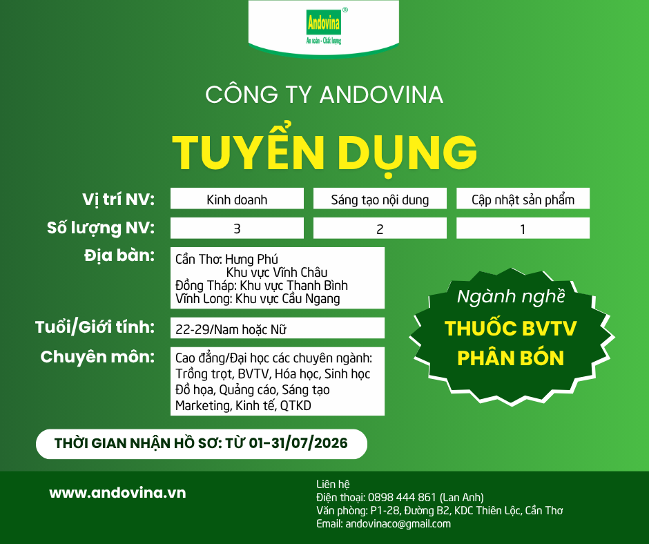 TUYỂN DỤNG - CÁC VỊ TRÍ