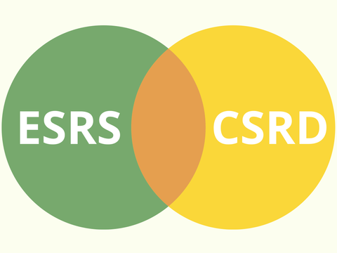 ESRS and CSRD: Relationship and Implications for Business