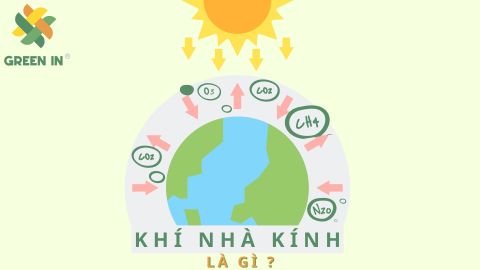 What are greenhouse gases? The main types and their sources.
