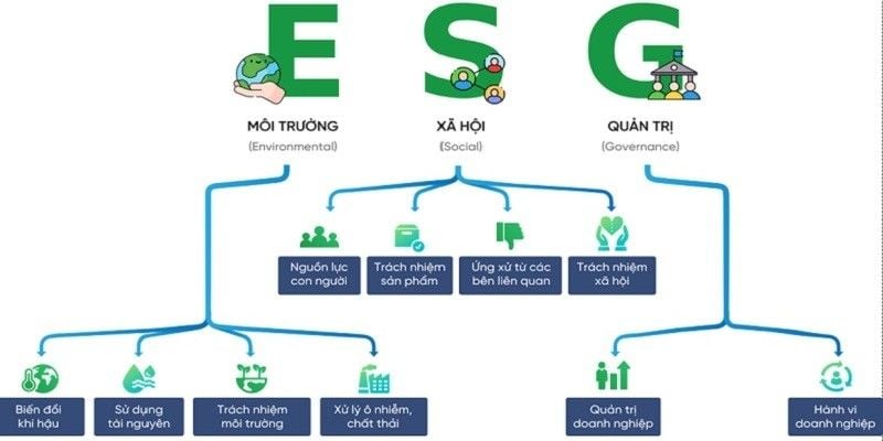Quy định về báo cáo ESG tại Việt Nam và quốc tế: Doanh nghiệp cần biết gì?
