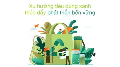 Xu hướng phát triển bền vững 2026: Chuyển dịch định hình doanh nghiệp