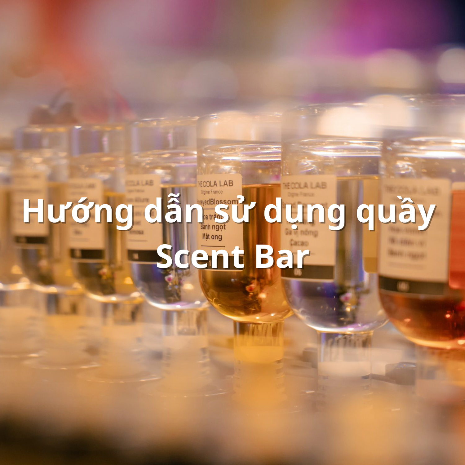 Hướng Dẫn Sử Dụng Quầy Scent Bar  - The OOla Lab