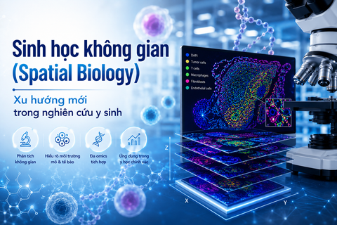 Sinh học không gian (Spatial Biology) - Xu hướng mới trong nghiên cứu y sinh