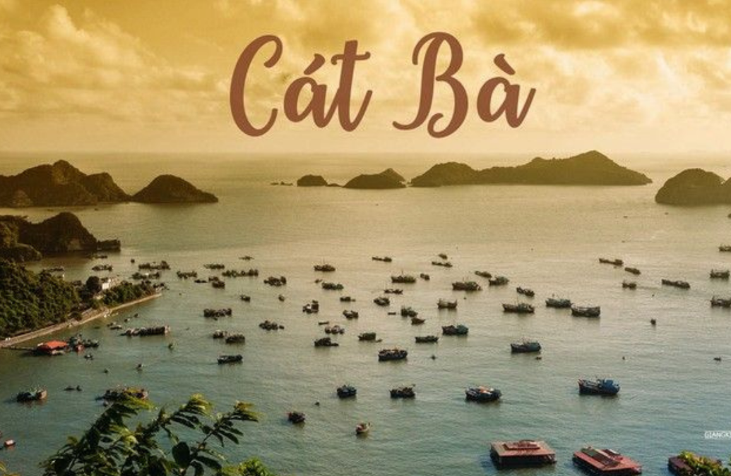 Khám Phá Đảo Cát Bà 3N2D: Hành trình tìm về viên ngọc xanh vịnh Bắc Bộ
