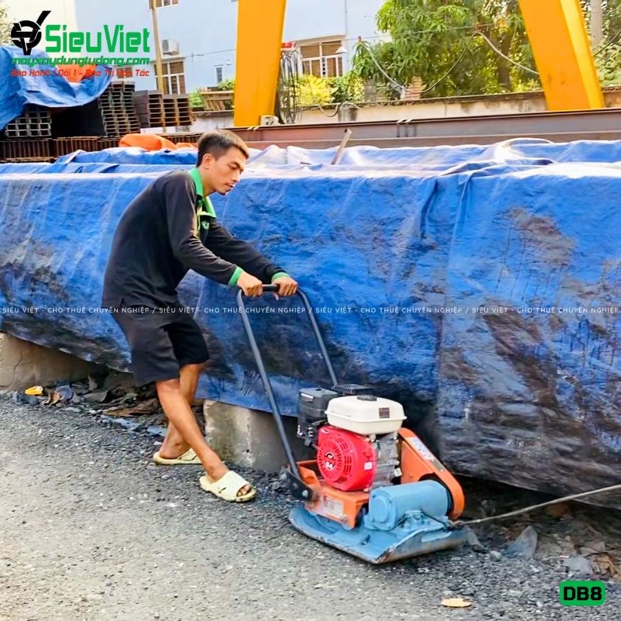 Máy đầm bàn 75kg -100kg giao thuê tháng