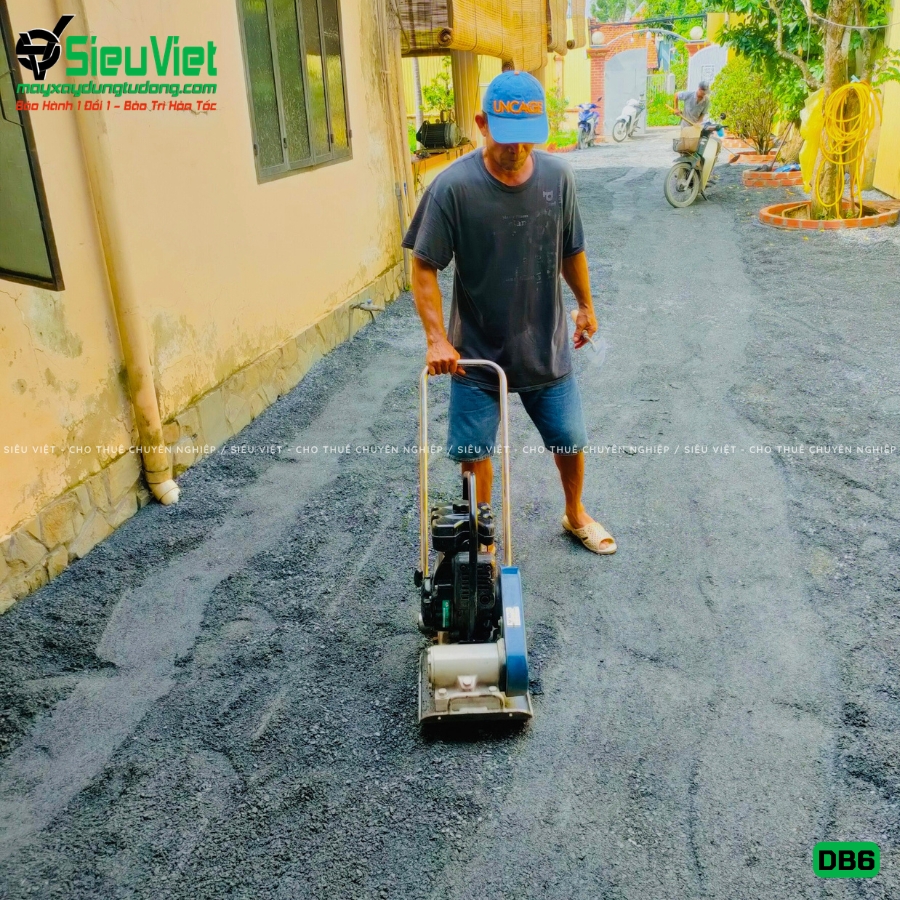 Máy đầm bàn DB6 50-70Kg giao thuê ngày