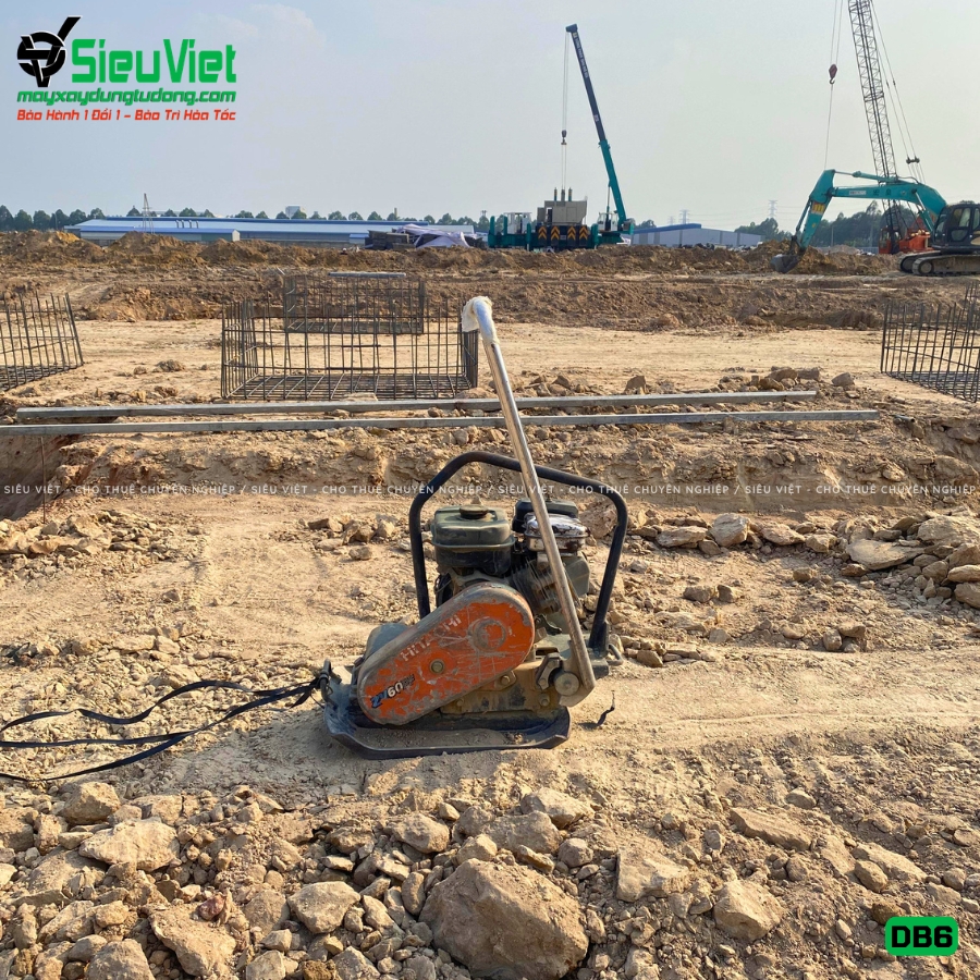 Máy đầm bàn DB6 50-70Kg giao thuê ngày