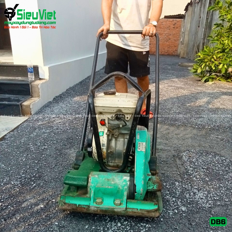 Máy đầm bàn DB6 50-70Kg giao thuê ngày