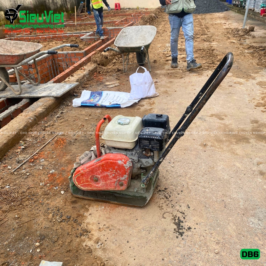 Máy đầm bàn DB6 50-70Kg giao thuê ngày
