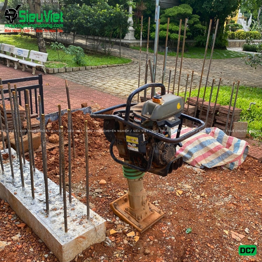 Đầm cóc xăng 70kg - 80kg giao thuê ngày