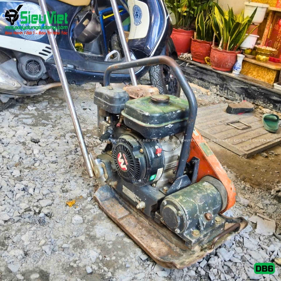 Máy đầm bàn DB6 48Kg-65Kg giao thuê tháng