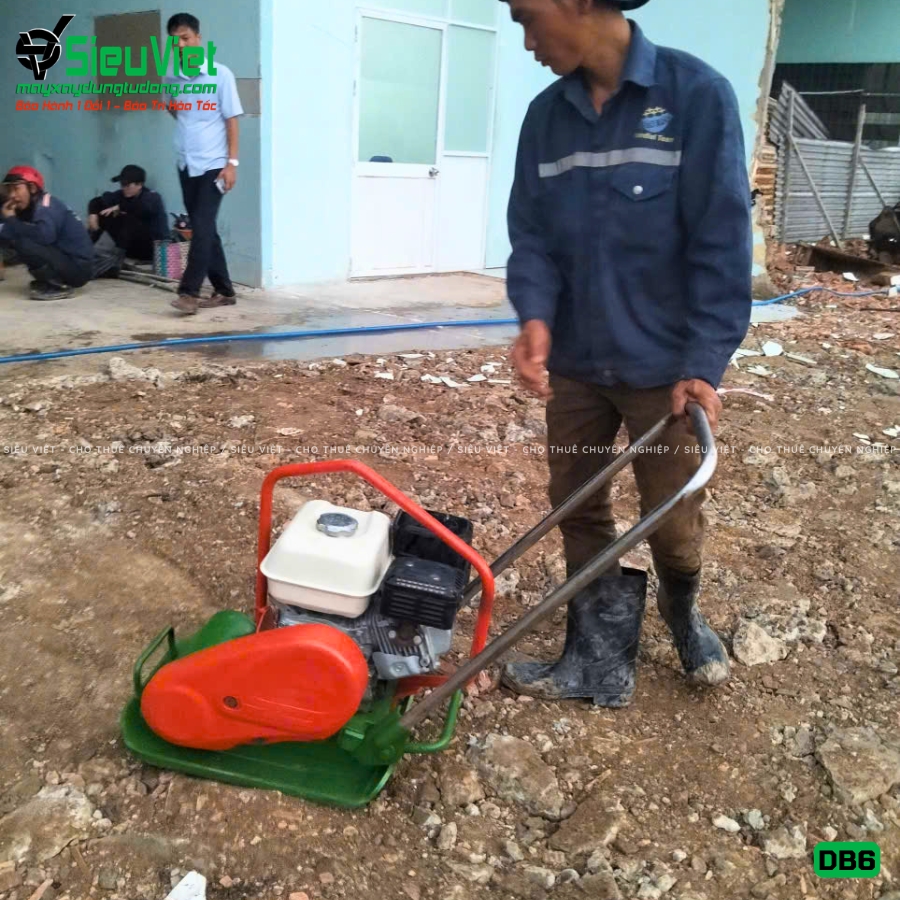Máy đầm bàn DB6 48Kg-65Kg giao thuê tháng