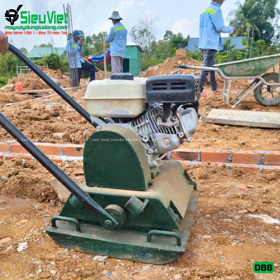 Máy đầm bàn DB6 48Kg-65Kg giao thuê tháng