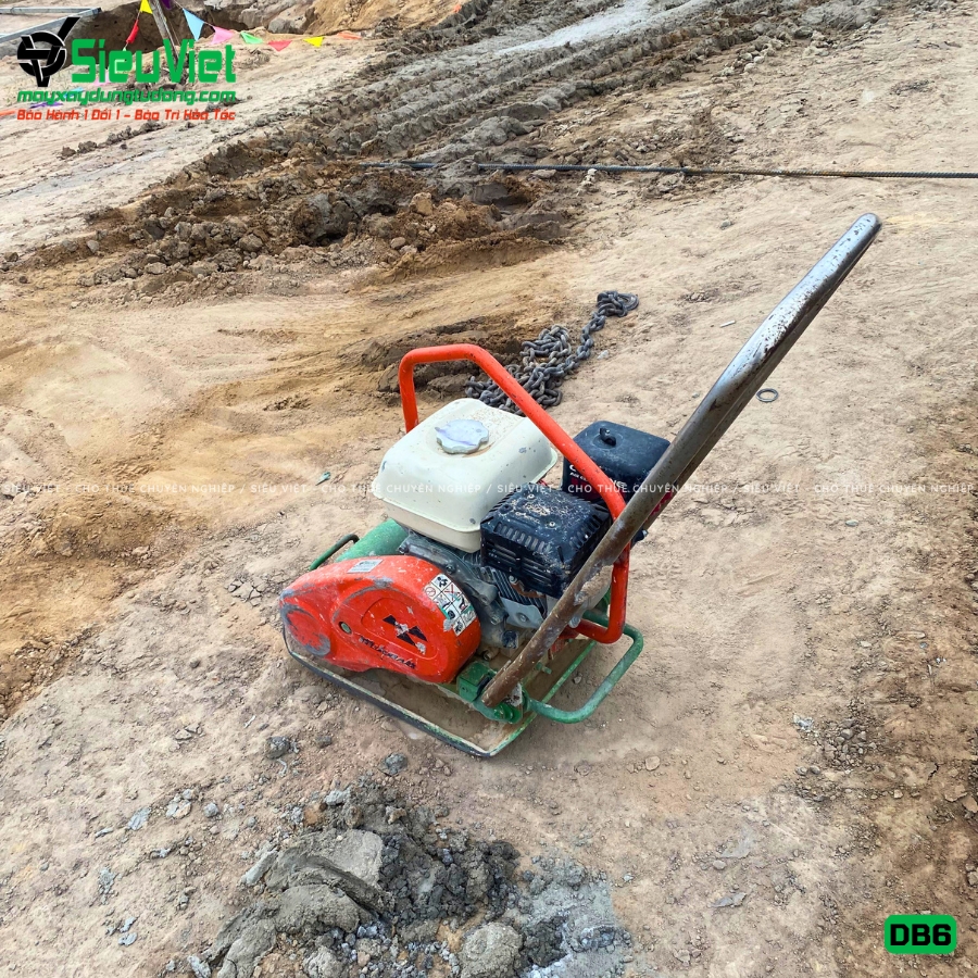 Máy đầm bàn DB6 48Kg-65Kg giao thuê tháng