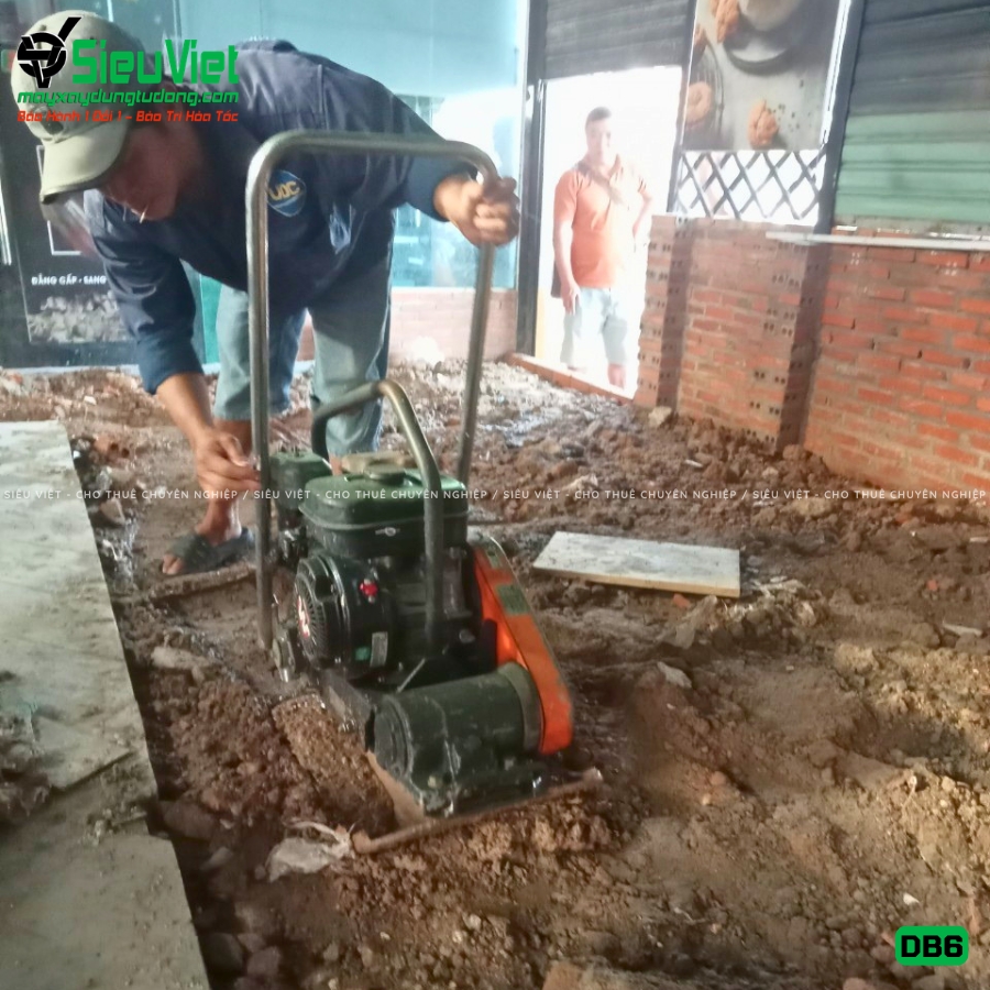 Máy đầm bàn DB6 48Kg-65Kg giao thuê tháng
