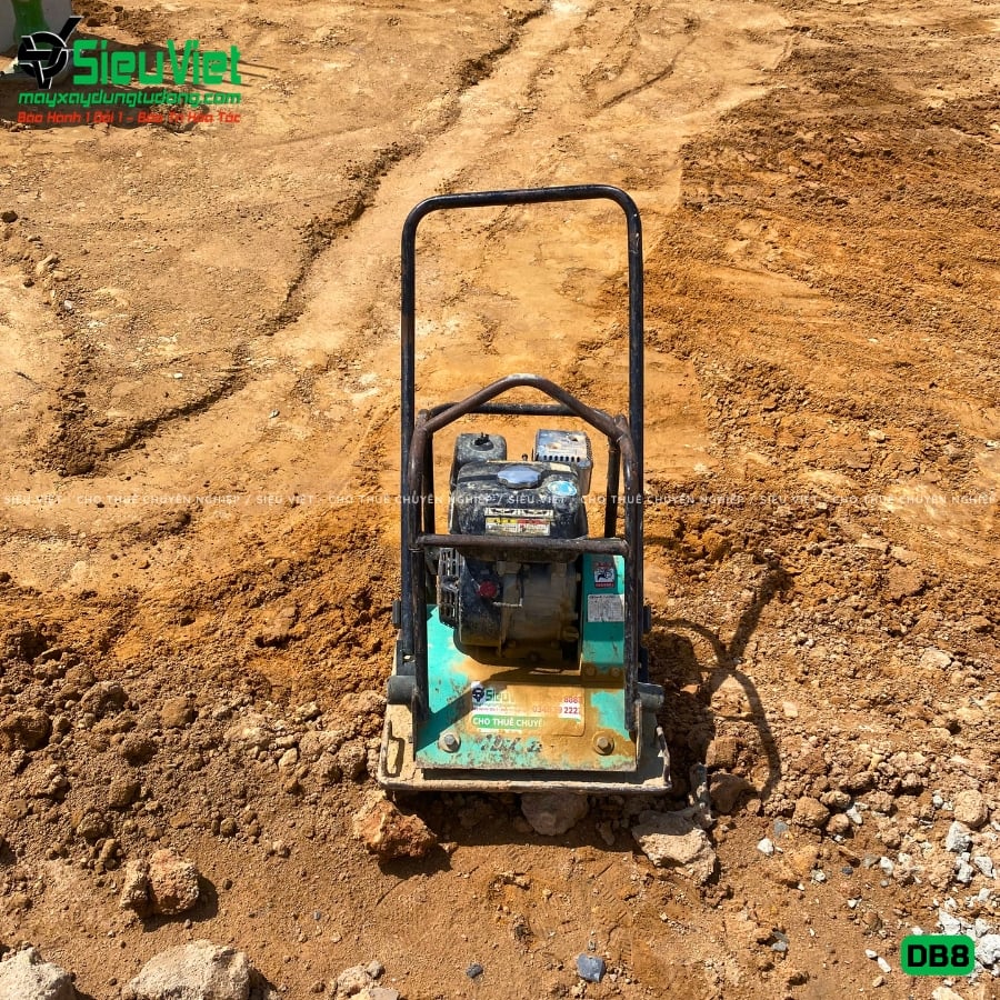 Máy đầm bàn DB8 75-100Kg giao thuê tháng