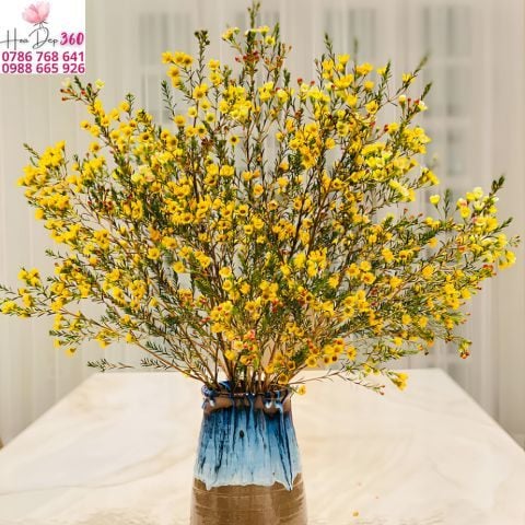 Cách Cắm Hoa Thanh Liễu Đẹp Tại Nhà Đơn Giản Và Tươi Lâu