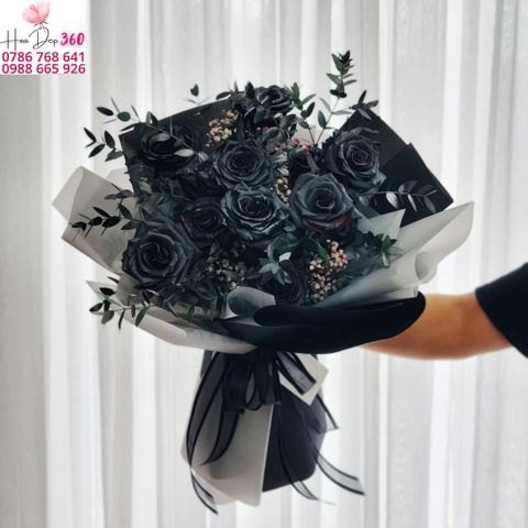 Hoa Hồng Đen Có Ý Nghĩa Gì Trong Tình Yêu Và Cuộc Sống