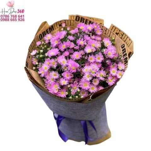 Hoa Thạch Thảo Tím Ý Nghĩa Dịu Dàng Và Cách Chọn Làm Quà