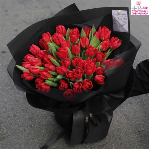 Hoa Tulip Đỏ Tượng Trưng Cho Điều Gì Trong Tình Yêu