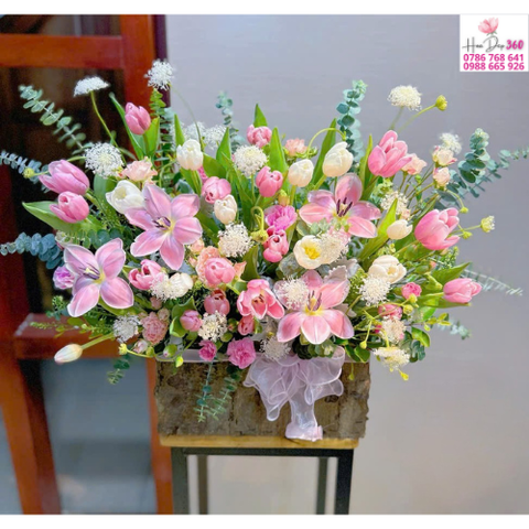 Màu Hoa Tulip Tượng Trưng Điều Gì & Thông Điệp Ý Nghĩa