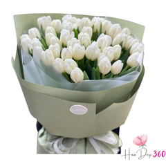 Giải Mã Các Màu Hoa Tulip Và Thông Điệp Trong Mỗi Bó Hoa